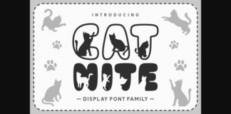 Cat Nite Font Poster 1