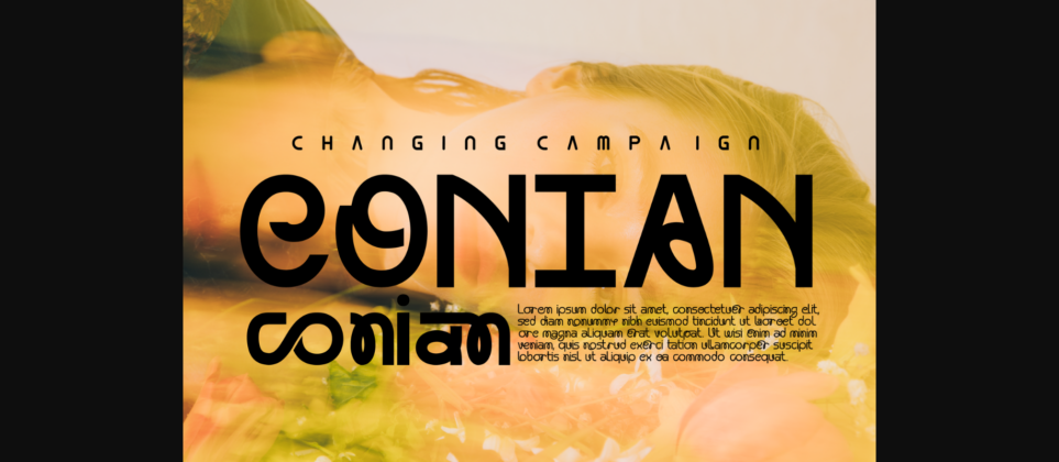 Changing Campaign Font Poster 7