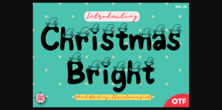 Christmas Bright 15 Font Poster 1