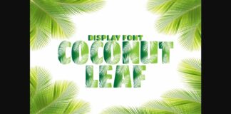 Coconut Leaf Font Poster 1