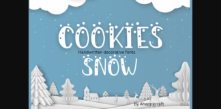 Cookies Snow Font Poster 1