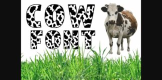 Cow Font Poster 1