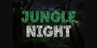 Jungle Night Font Poster 1