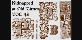 Kidnapped at Old Times Font Poster 1