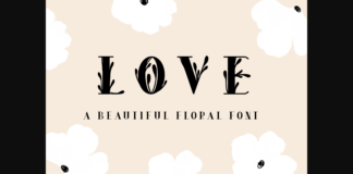 Love Font Poster 1