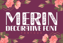 Merin Font Poster 1