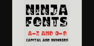 Ninja Font Poster 1