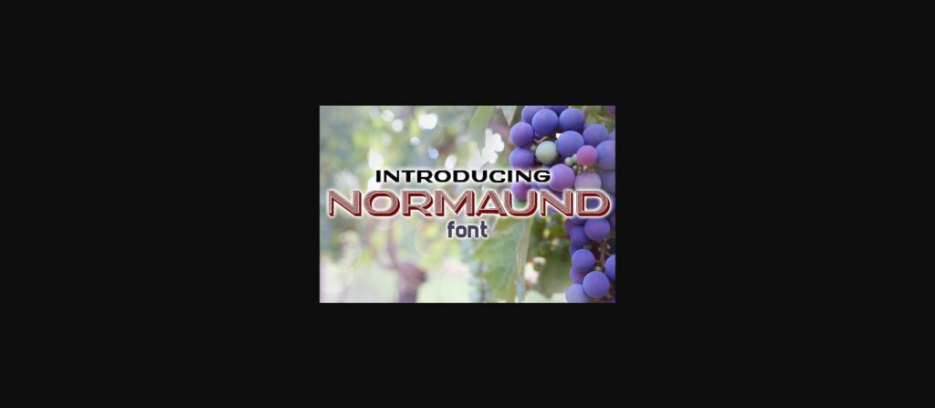 Normaund Font Poster 1