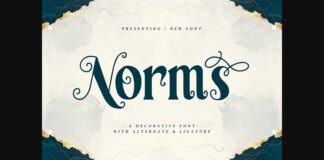 Norms Font Poster 1