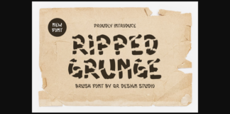 Ripped Grunge Font Poster 1