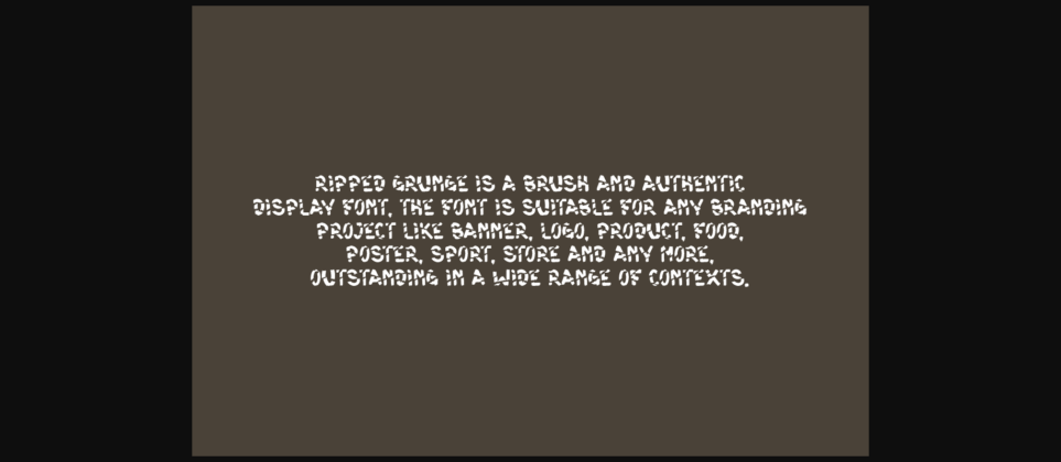 Ripped Grunge Font Poster 6