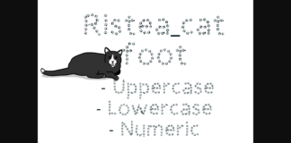 Ristea Catfoot Font Poster 1