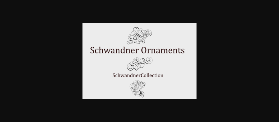 Schwandner Font Poster 5