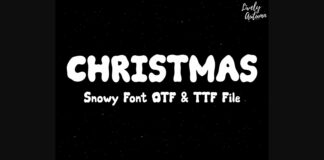 Snowy Font Poster 1