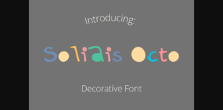 Solidis Octo Font Poster 1