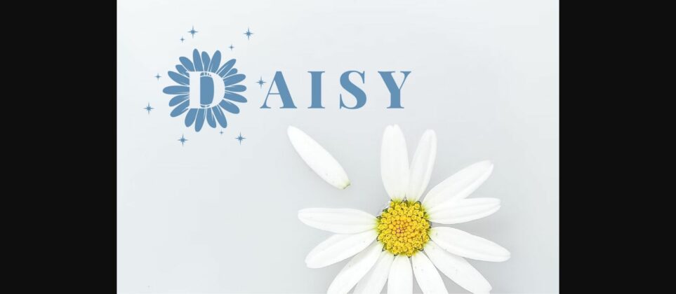 Sparkling Daisy Monogram Font Poster 4