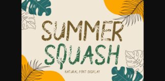 Summer Squash Font Poster 1