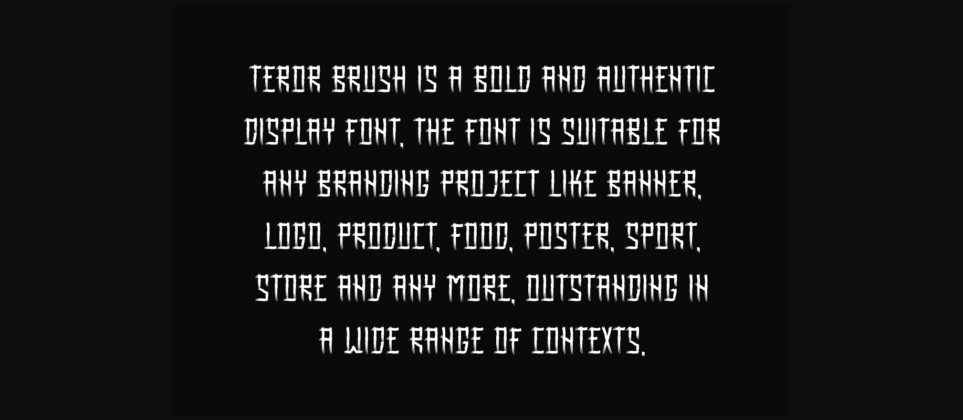 Teror Brush Font Poster 6