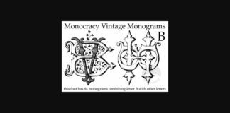 Vintage Monograms B Font Poster 1