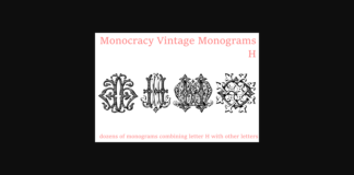 Vintage Monograms H Font Poster 1