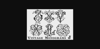 Vintage Monograms J Font Poster 1
