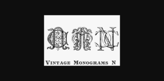 Vintage Monograms N Font Poster 1