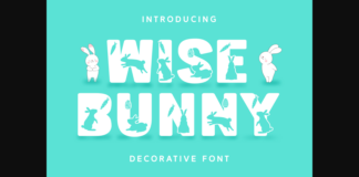 Wise Bunny Font Poster 1