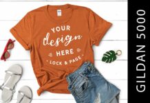 Antique Orange Gildan 5000 TShirt Mockup Poster 1