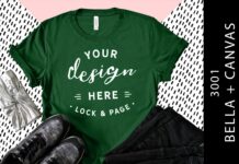 Evergreen Bella Canvas 3001 Tee Mockup Poster 1