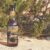 Formentera Coastal Grass | Beer Mockup