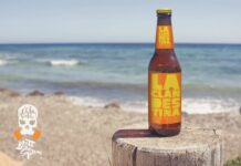 Formentera Crashboat Beach | Beer Mockup Poster 1