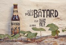 Formentera Wall | Beer Mockup Poster 1