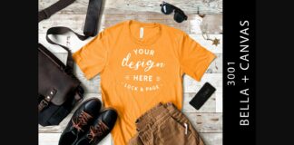 Mens Burnt Orange Bella Canvas 3001 Poster 1