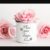 Metal Enamel Pink Mug Mockup