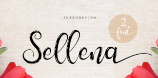 Sellena Brush Font