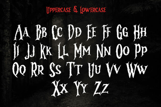 DangeRNighT Font