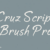 Cruz Script Brush Pro