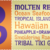 Hawaiian Aloha BTN