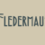 Fledermaus