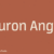 Neuron Angled