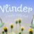 Vlinder