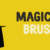 Magical Brush