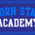 Porn Star Academy