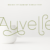 Auvelle Regular